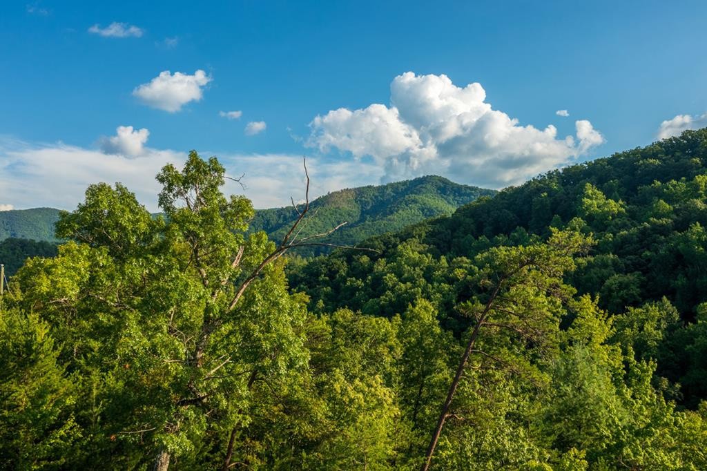 1633 Pinestand Rdg Way Sevierville, TN 37862 - Photo 4 of 15