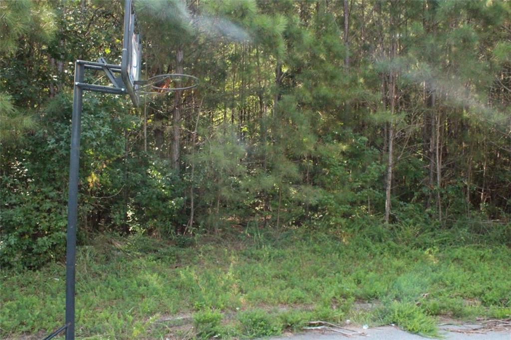 7728 Cheviot Drive Winston, GA 30187 - Photo 13 of 17 a view of a forest