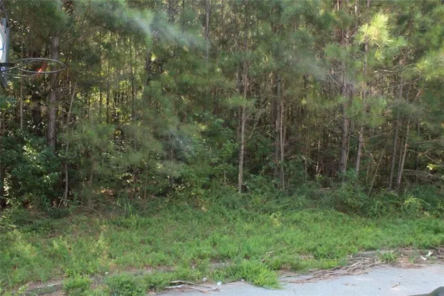 $60,000 | 7728 Cheviot Drive, Winston, GA 30187