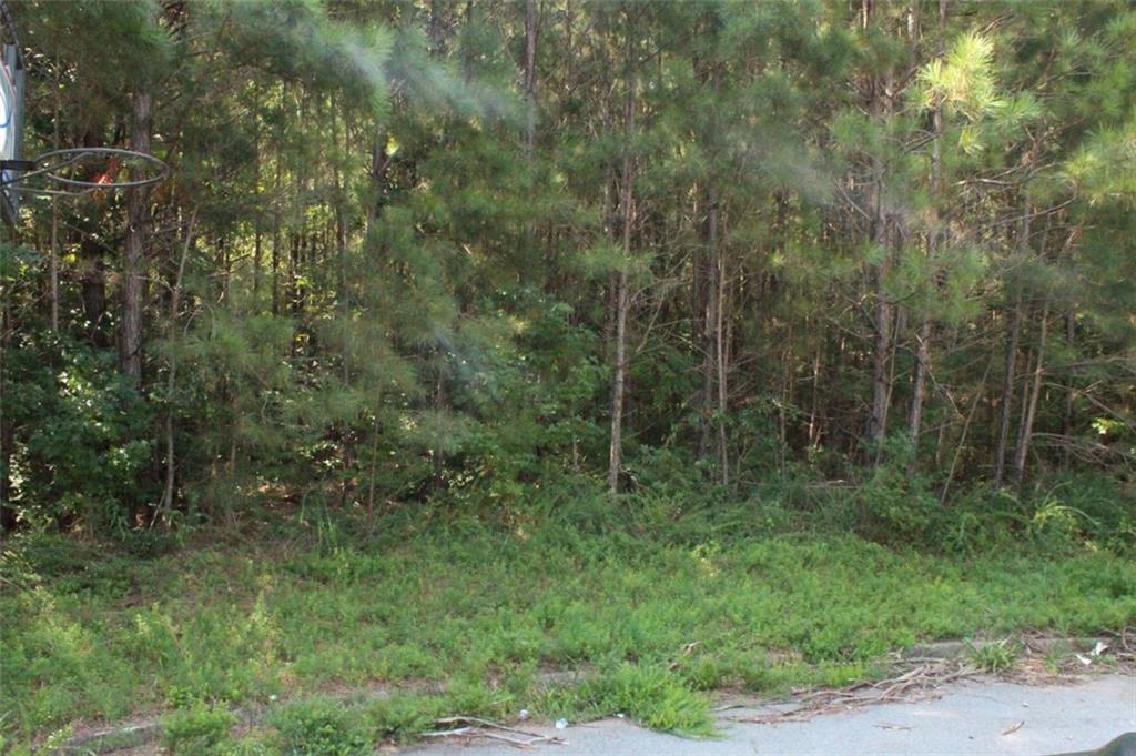7728 Cheviot Drive Winston, GA 30187 - Photo 14 of 17 a view of a forest with trees in the background
