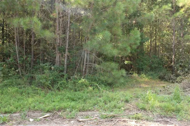 $60,000 | 7728 Cheviot Drive, Winston, GA 30187