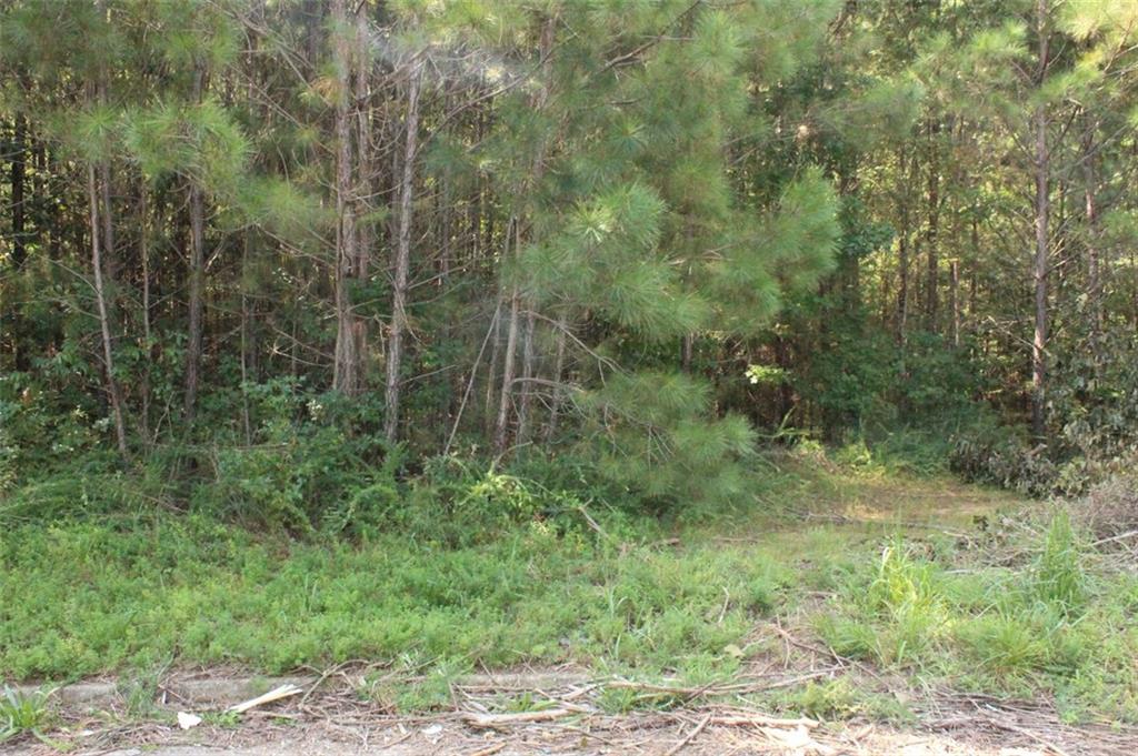 7728 Cheviot Drive Winston, GA 30187 - Photo 15 of 17 a view of a forest with a trees