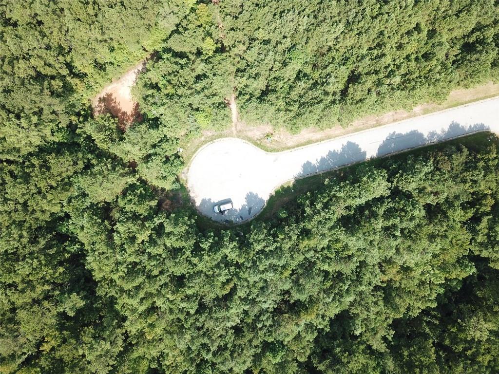 7728 Cheviot Drive Winston, GA 30187 - Photo 6 of 17 a view of a garden with a tree