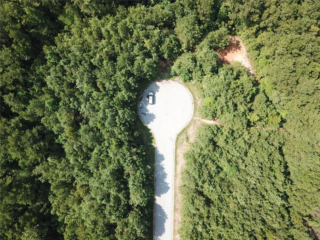 7728 Cheviot Drive Winston, GA 30187 - Photo 8 of 17 a view of a forest with a sink