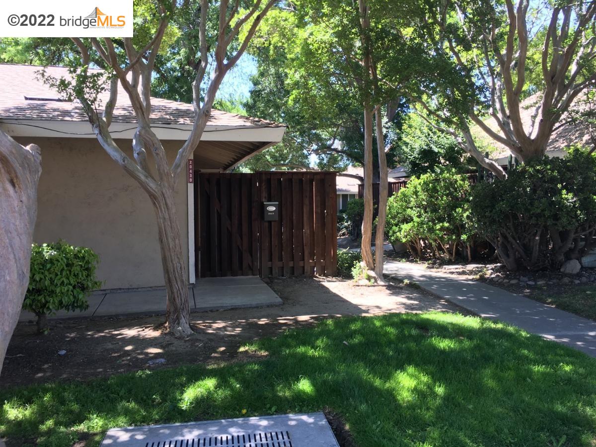 2043 Olivera Road, Unit D Concord, CA 94520 - Photo 1 of 1 a backyard of a house with lots of green space