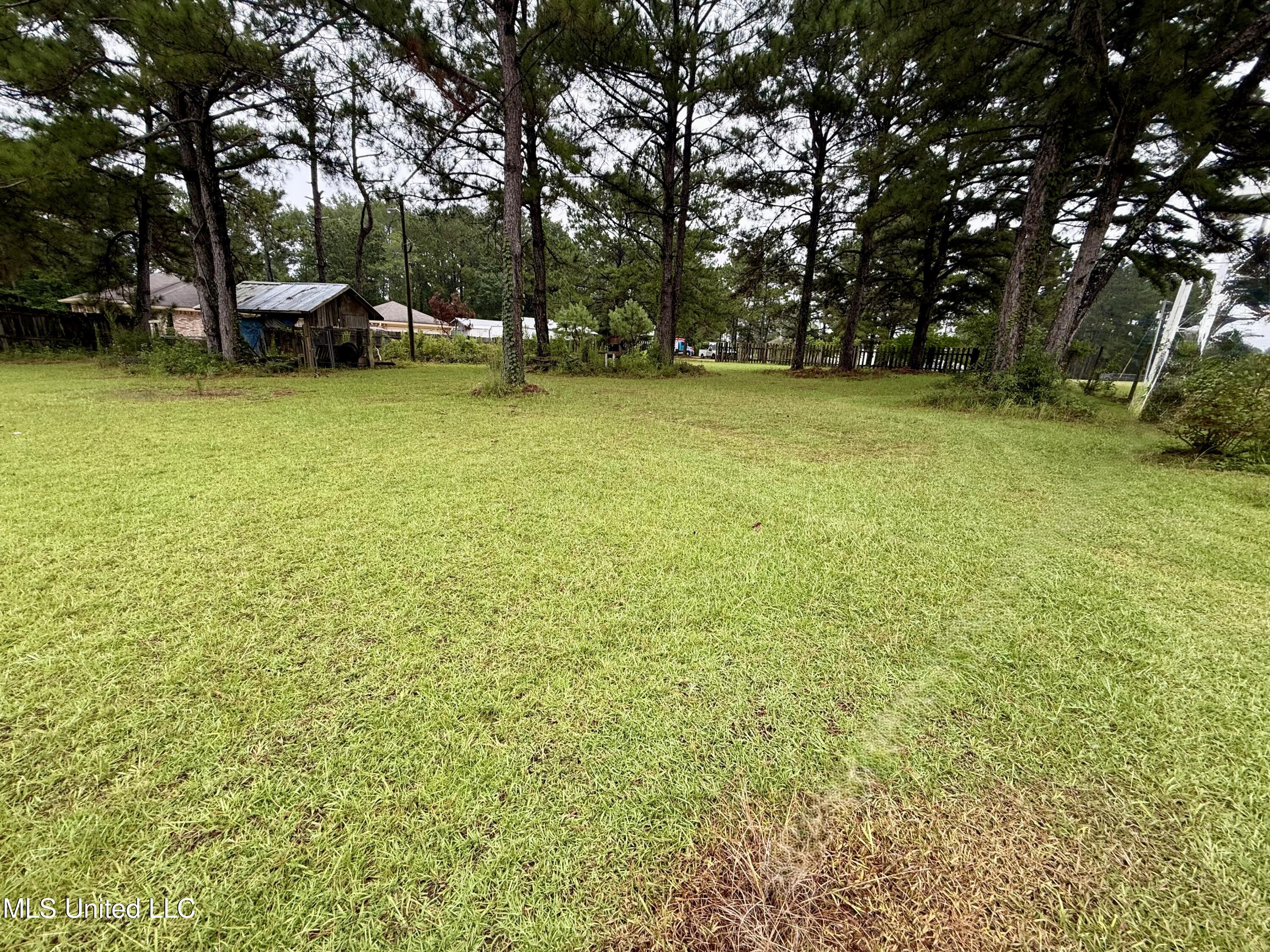 312 Oak Grove Road Tylertown, MS 39667 - Photo 14 of 16 IMG_1526