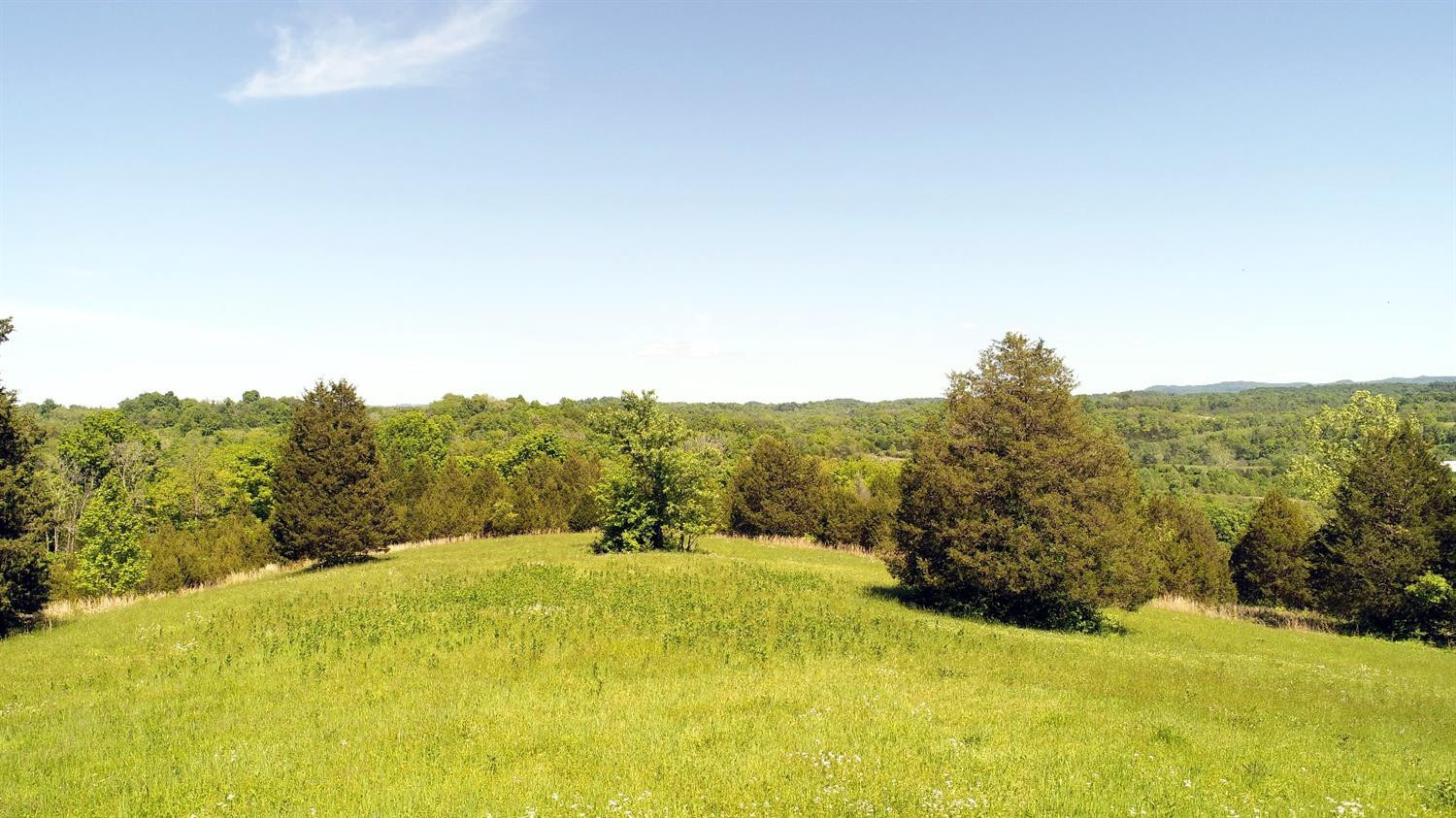 460 Red River Road Irvine, KY 40336 - Photo 45 of 53 Gently rolling hills!