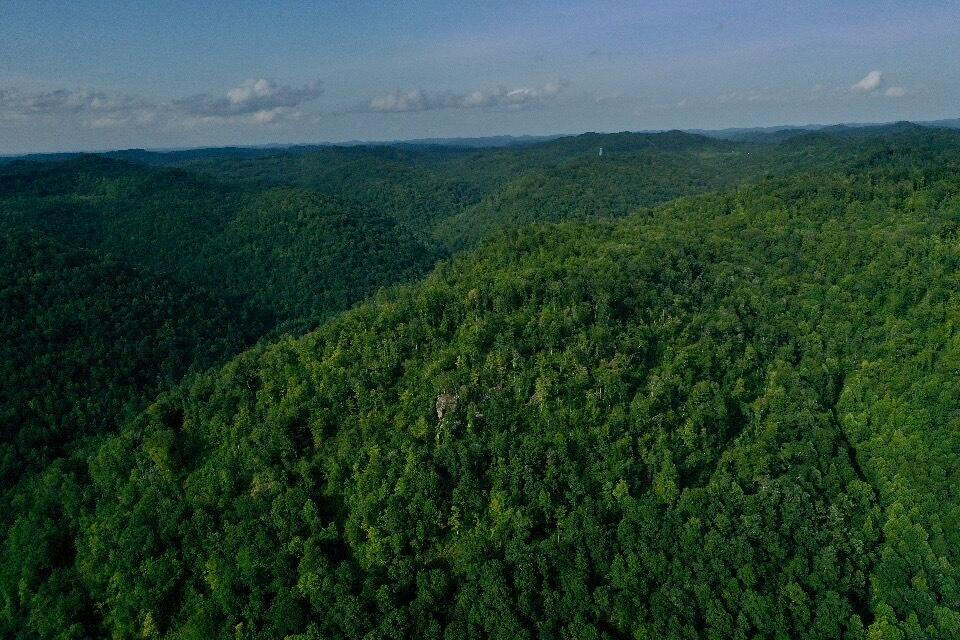 0 Oscar Wagers Road Manchester, KY 40962 - Photo 28 of 57 IMG_7086