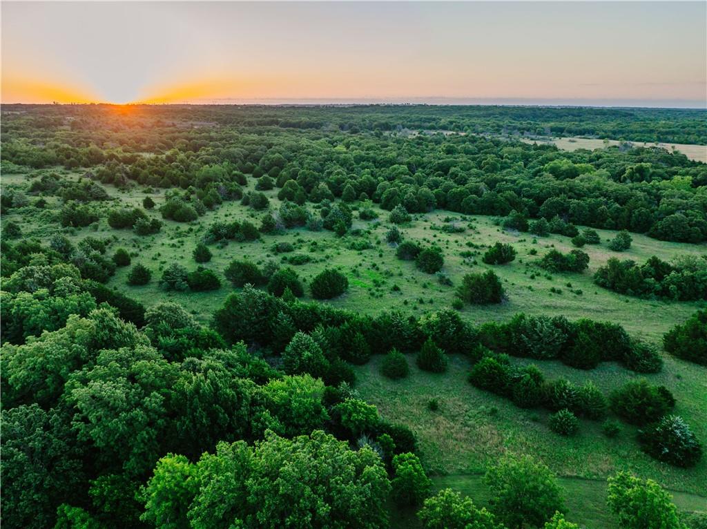 42629 South 34200 Road Pawnee, OK 74058 - Photo 59 of 99
