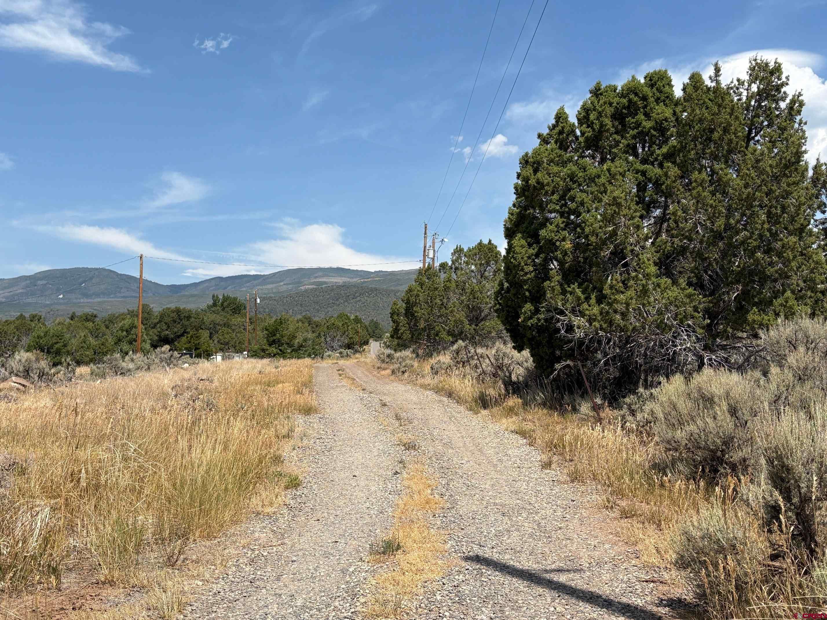 24500 Timothy Road Cedaredge, CO 81413 - Photo 23 of 30