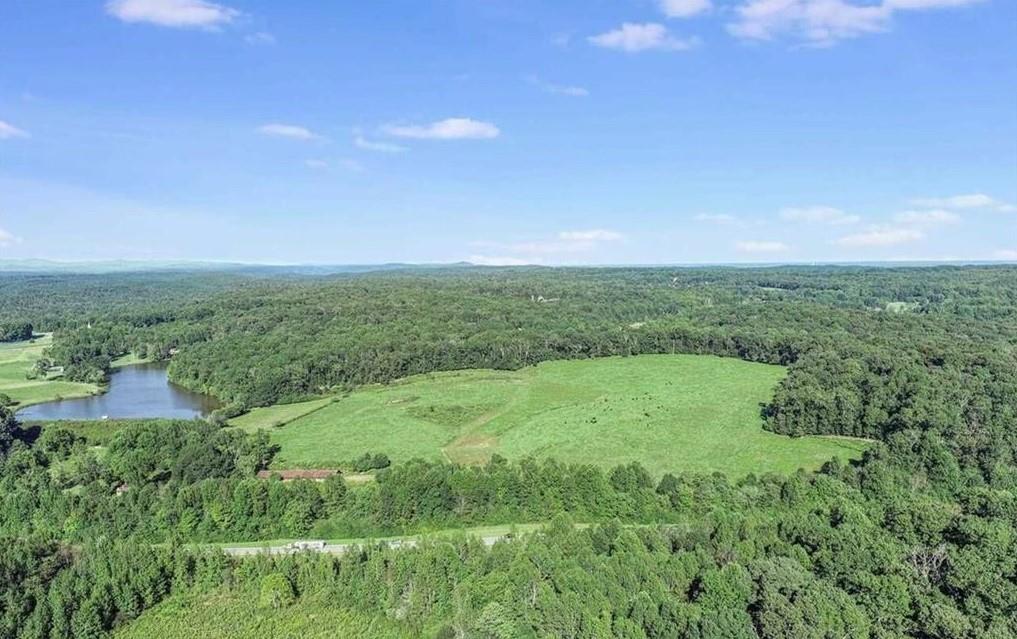 1340 441 Express Way Mount Mount Airy, GA 30563 - Photo 13 of 25 a view of a big yard with large trees