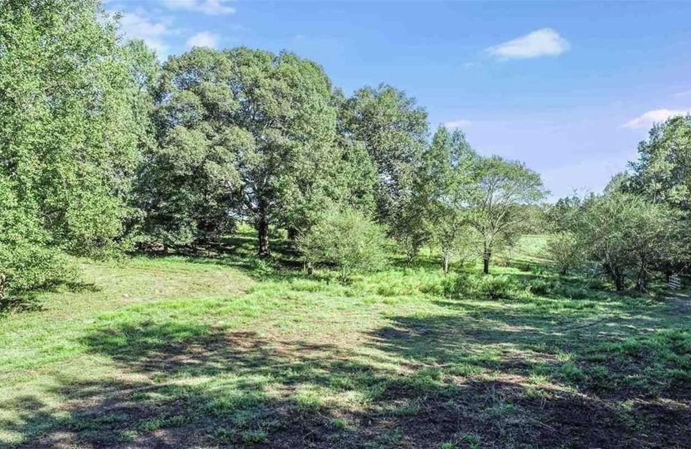 1340 441 Express Way Mount Mount Airy, GA 30563 - Photo 2 of 25 a big yard with lots of green space and deers