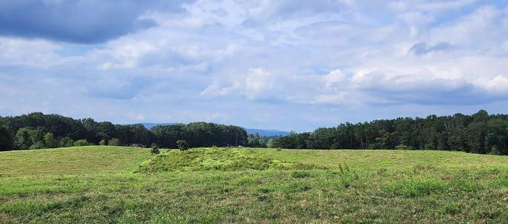 1340 441 Express Way Mount Mount Airy, GA 30563 - Photo 22 of 25 a view of a big yard