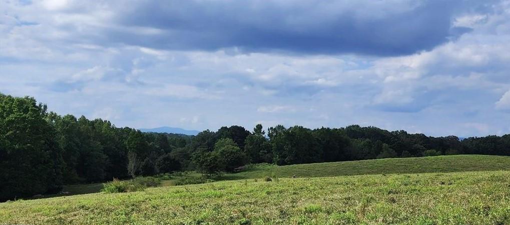1340 441 Express Way Mount Mount Airy, GA 30563 - Photo 24 of 25 a view of an outdoor space and a yard