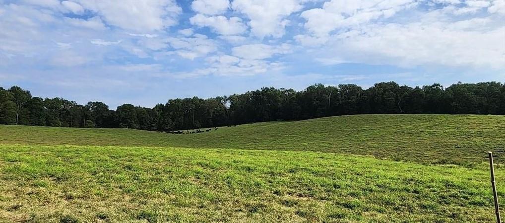 1340 441 Express Way Mount Mount Airy, GA 30563 - Photo 25 of 25 a view of an outdoor space and a yard