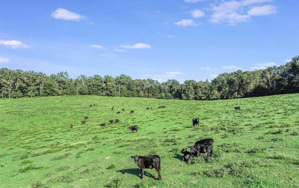 1340 441 Express Way Mount Mount Airy, GA 30563 - Photo 4 of 25 a view of a garden