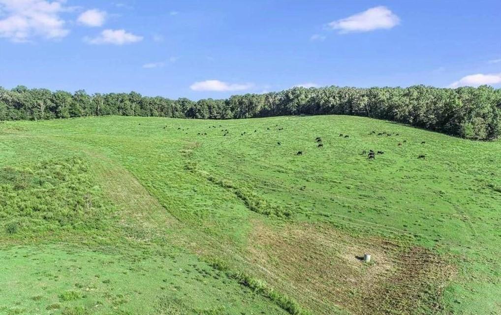 1340 441 Express Way Mount Mount Airy, GA 30563 - Photo 5 of 25 a view of a grassy field with trees in the background
