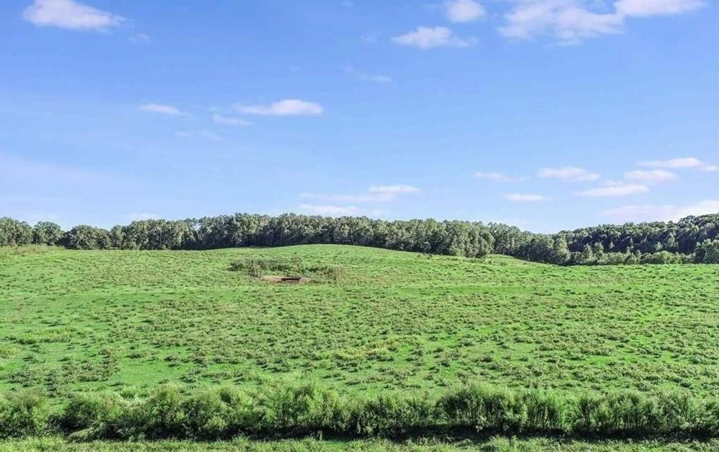 1340 441 Express Way Mount Mount Airy, GA 30563 - Photo 7 of 25 a view of a green field with an outdoor space