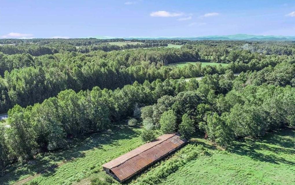 1340 441 Express Way Mount Mount Airy, GA 30563 - Photo 9 of 25 a view of a lush green forest with a house in the background