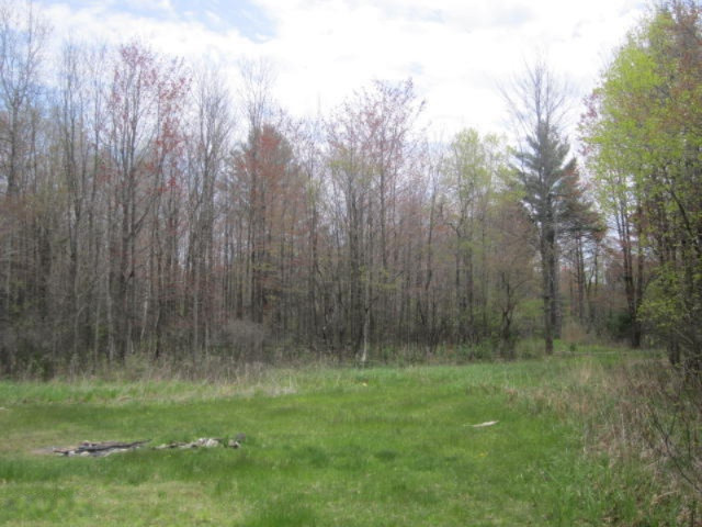 2227 Kemmer Road Manistee, MI 49660 - Photo 4 of 10 Back yard