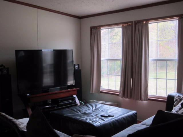 2227 Kemmer Road Manistee, MI 49660 - Photo 5 of 10 Living Room