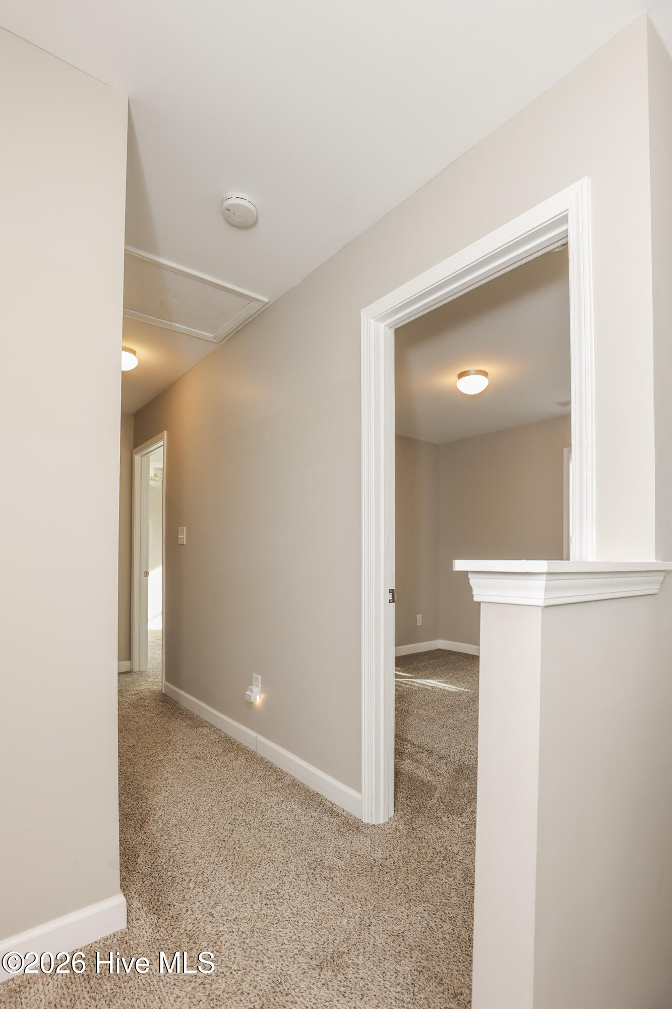 106 Blueberry Fields Road Maple Hill, NC 28454 - Photo 23 of 40 229A1708