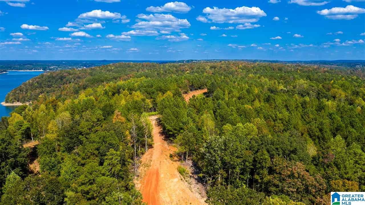 0 County Road 297 Cullman, AL 35057 - Photo 16 of 48