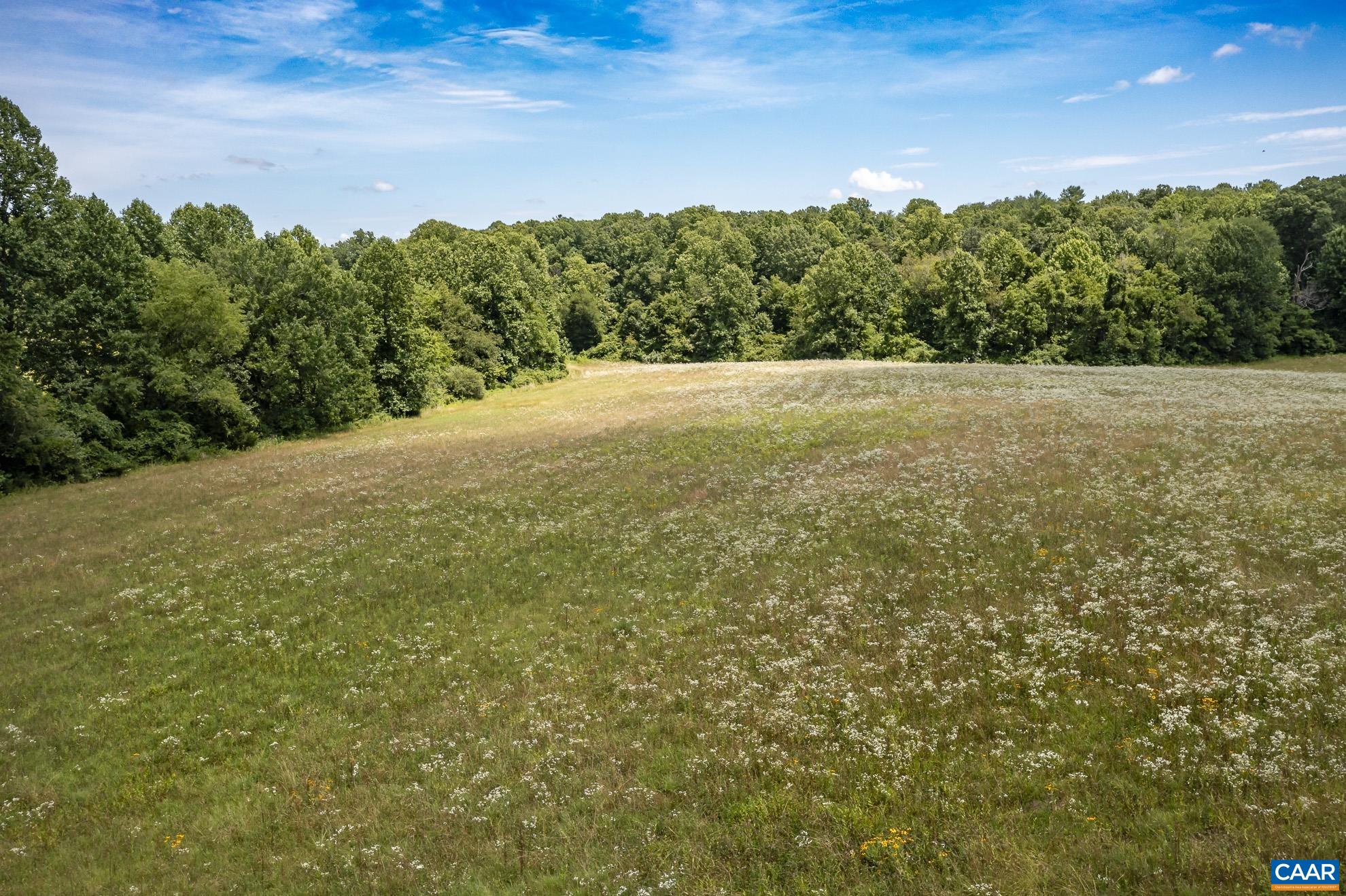 11697 Spotswood Trail Ruckersville, VA 22968 - Photo 17 of 53 a view of a yard with an outdoor space