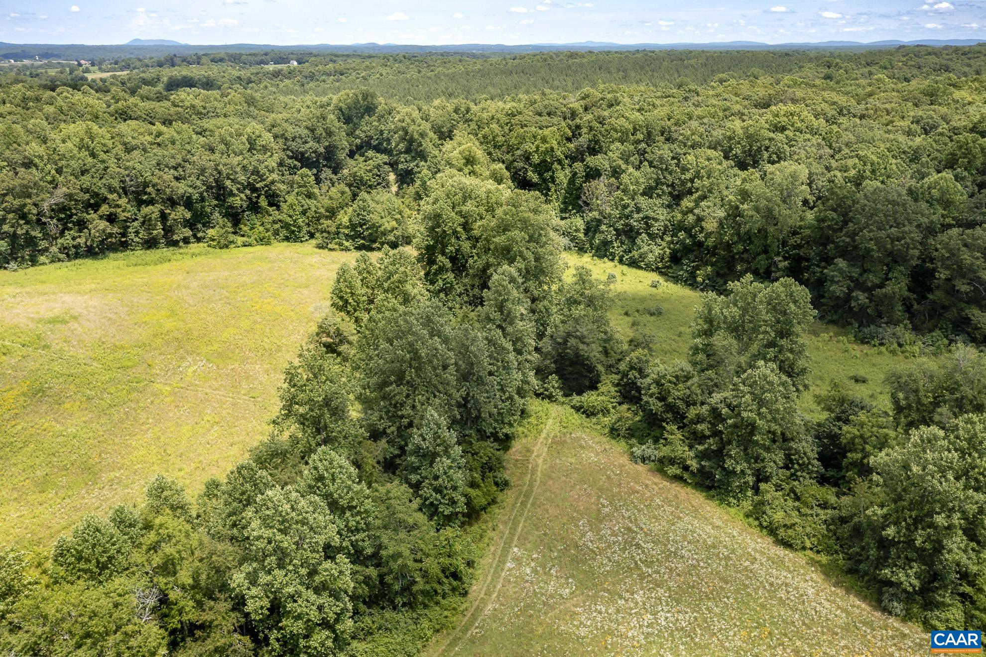 11697 Spotswood Trail Ruckersville, VA 22968 - Photo 18 of 53