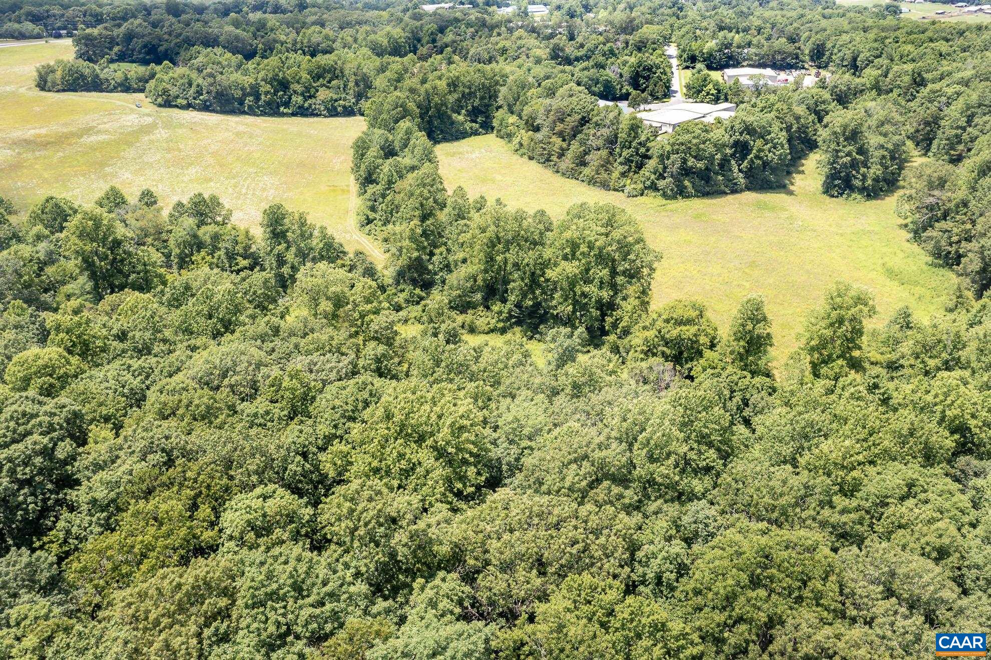 11697 Spotswood Trail Ruckersville, VA 22968 - Photo 21 of 53 a view of a large yard with large trees