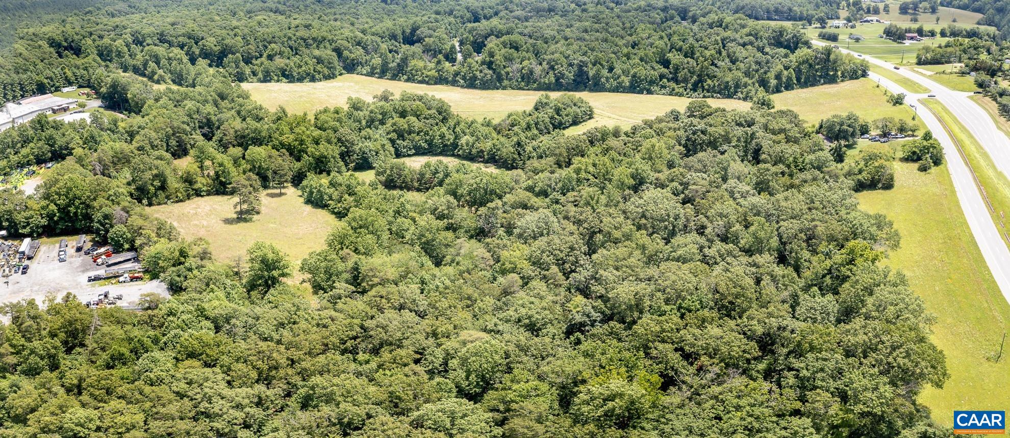 11697 Spotswood Trail Ruckersville, VA 22968 - Photo 23 of 53 a view of a garden with a tree