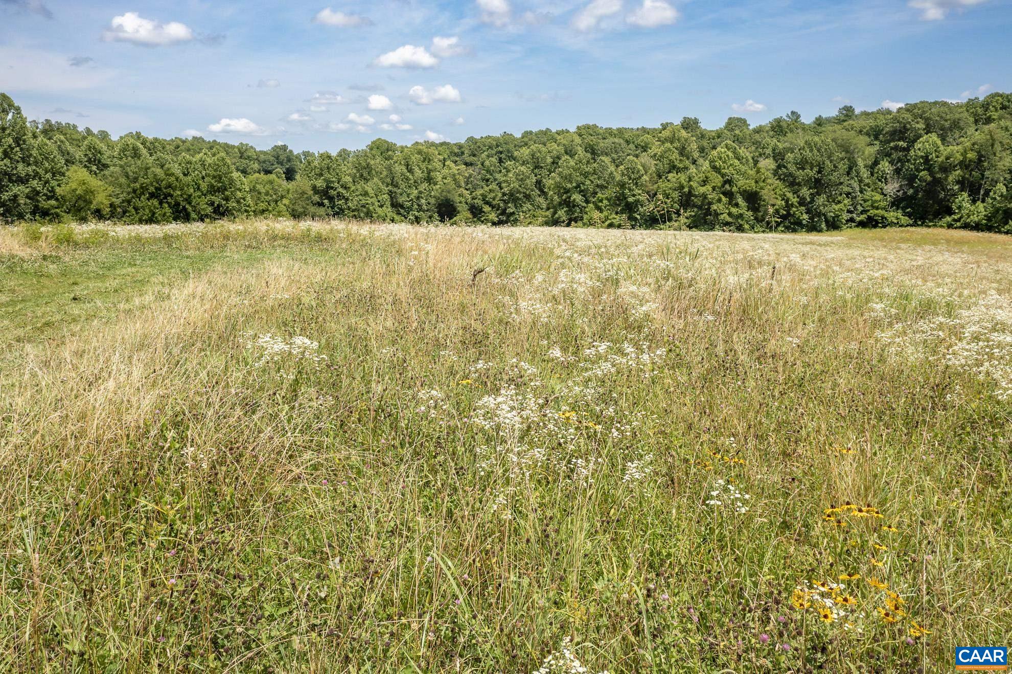 11697 Spotswood Trail Ruckersville, VA 22968 - Photo 30 of 53 a view of an ocean and a mountain