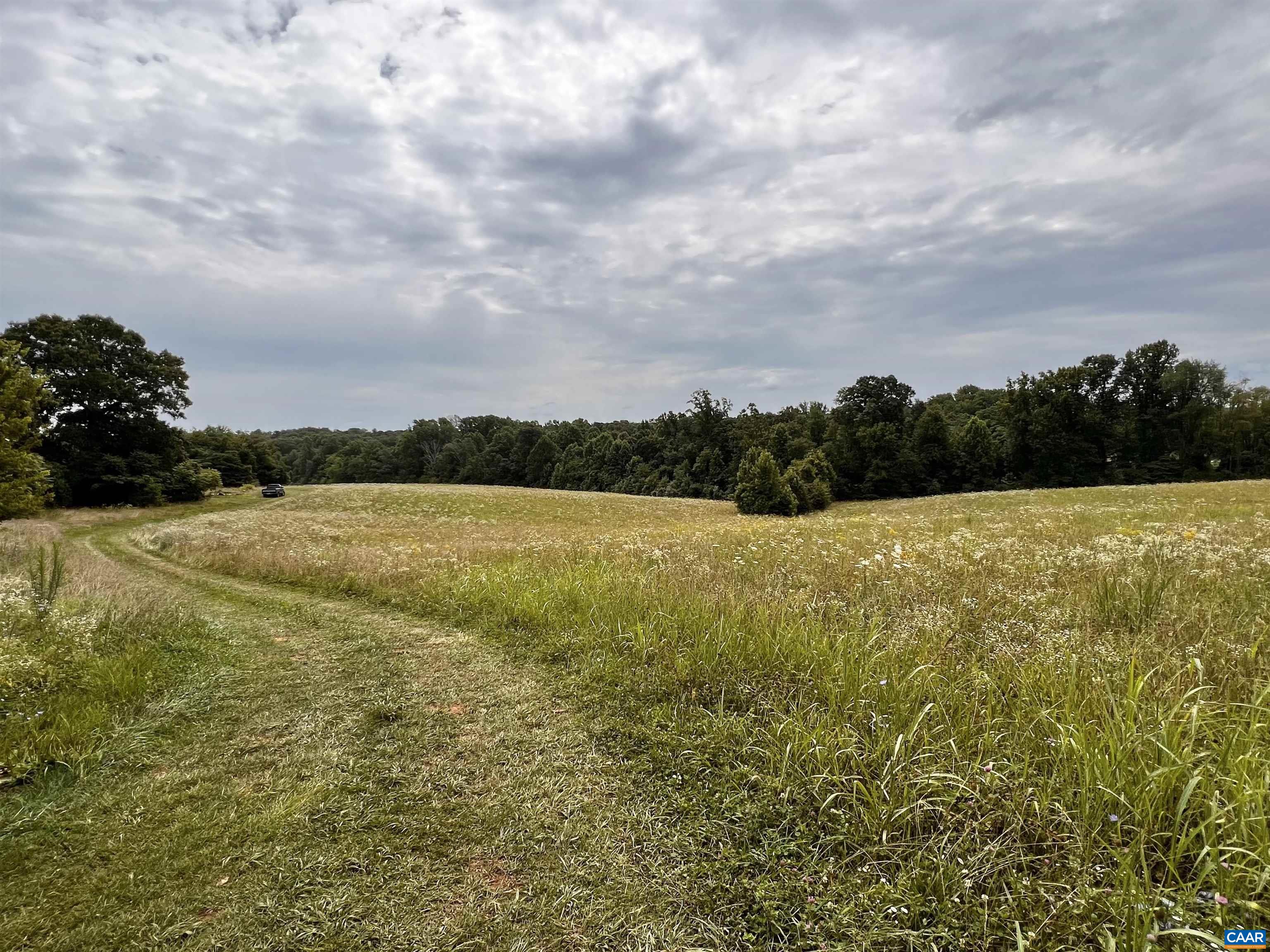 11697 Spotswood Trail Ruckersville, VA 22968 - Photo 44 of 53 a view of yard with swimming pool and trees in the background