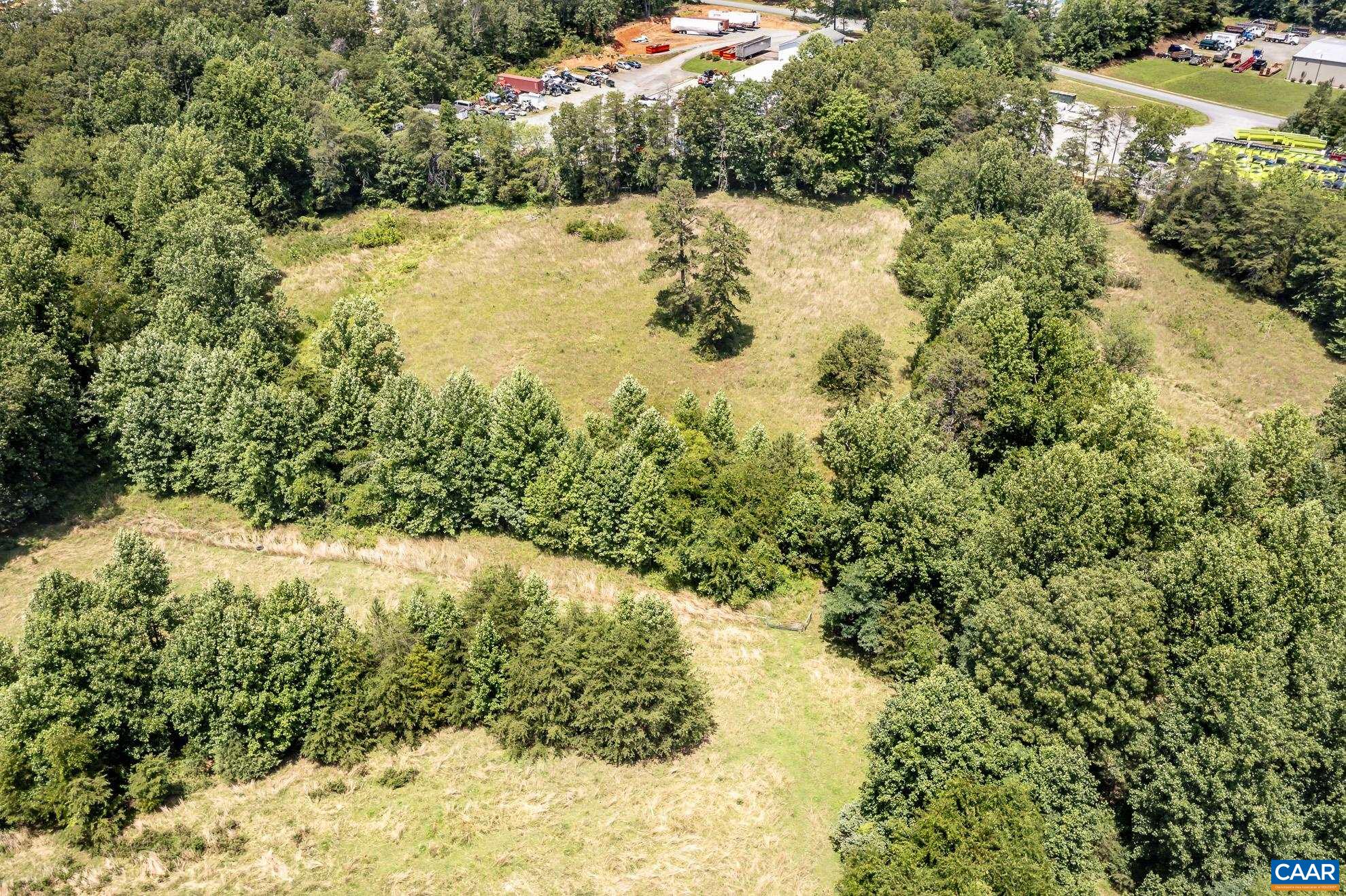 11697 Spotswood Trail Ruckersville, VA 22968 - Photo 9 of 53 a view of a yard with plants