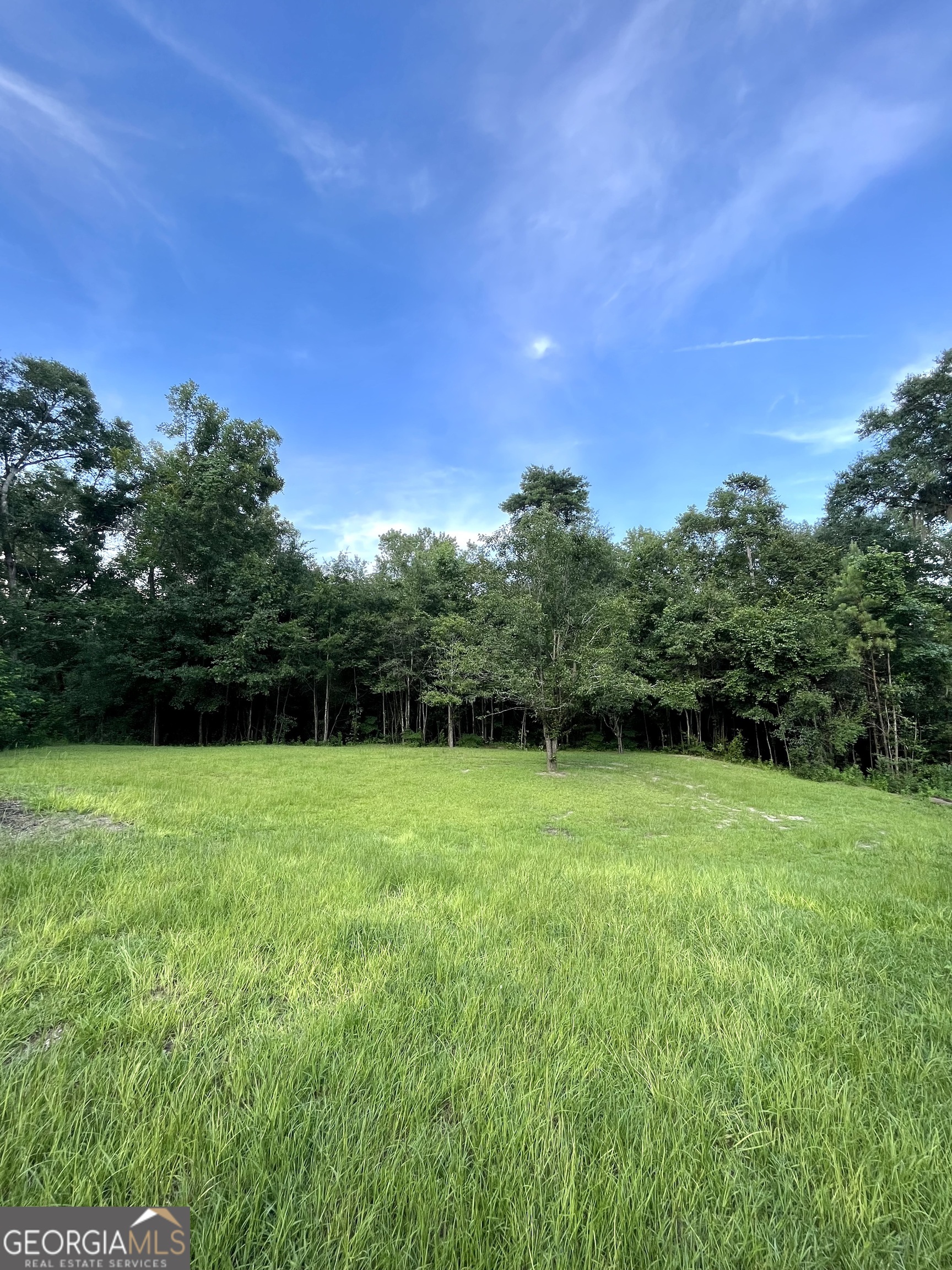 355 Thurmon Loop Road Jesup, GA 31545 - Photo 35 of 40