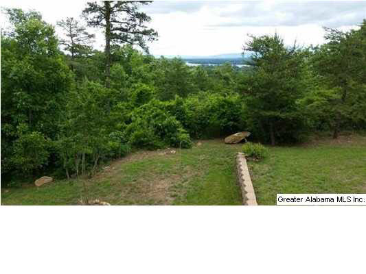 960 County Road 166 Leesburg, AL 35983 - Photo 9 of 27