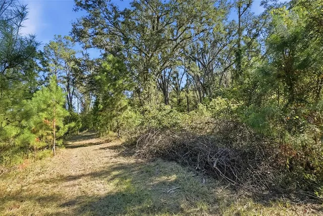 a view of outdoor space and a yard