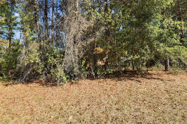 a view of a yard with a tree