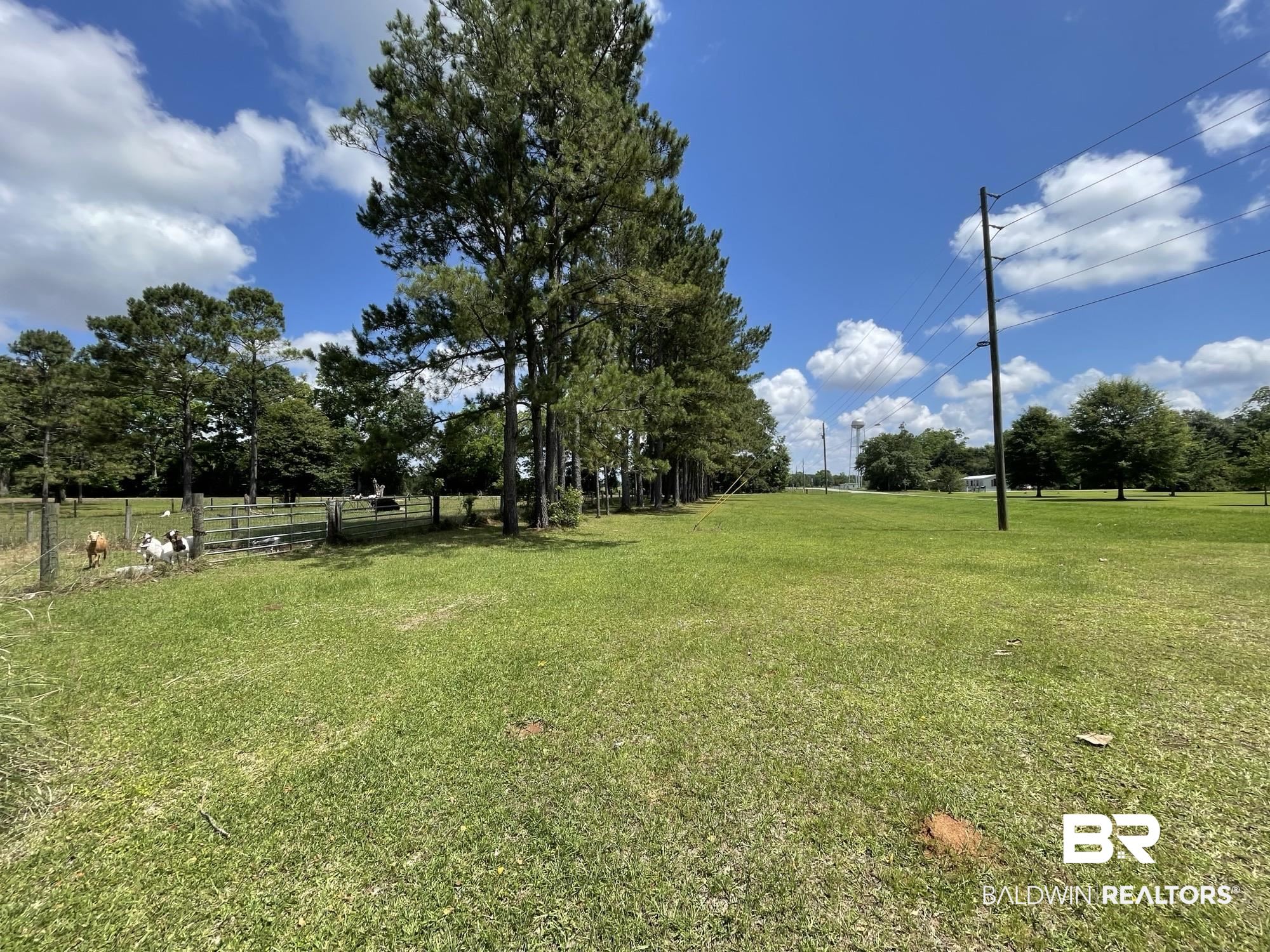 0 North N Highway Century, FL 32535 - Photo 13 of 16