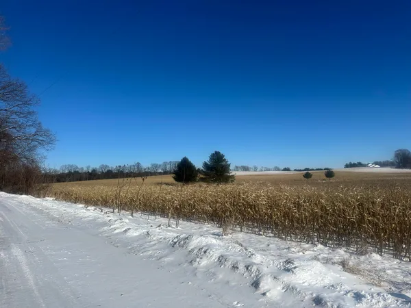 $294,000 | Bear Lake Road, Weyauwega, WI 54983