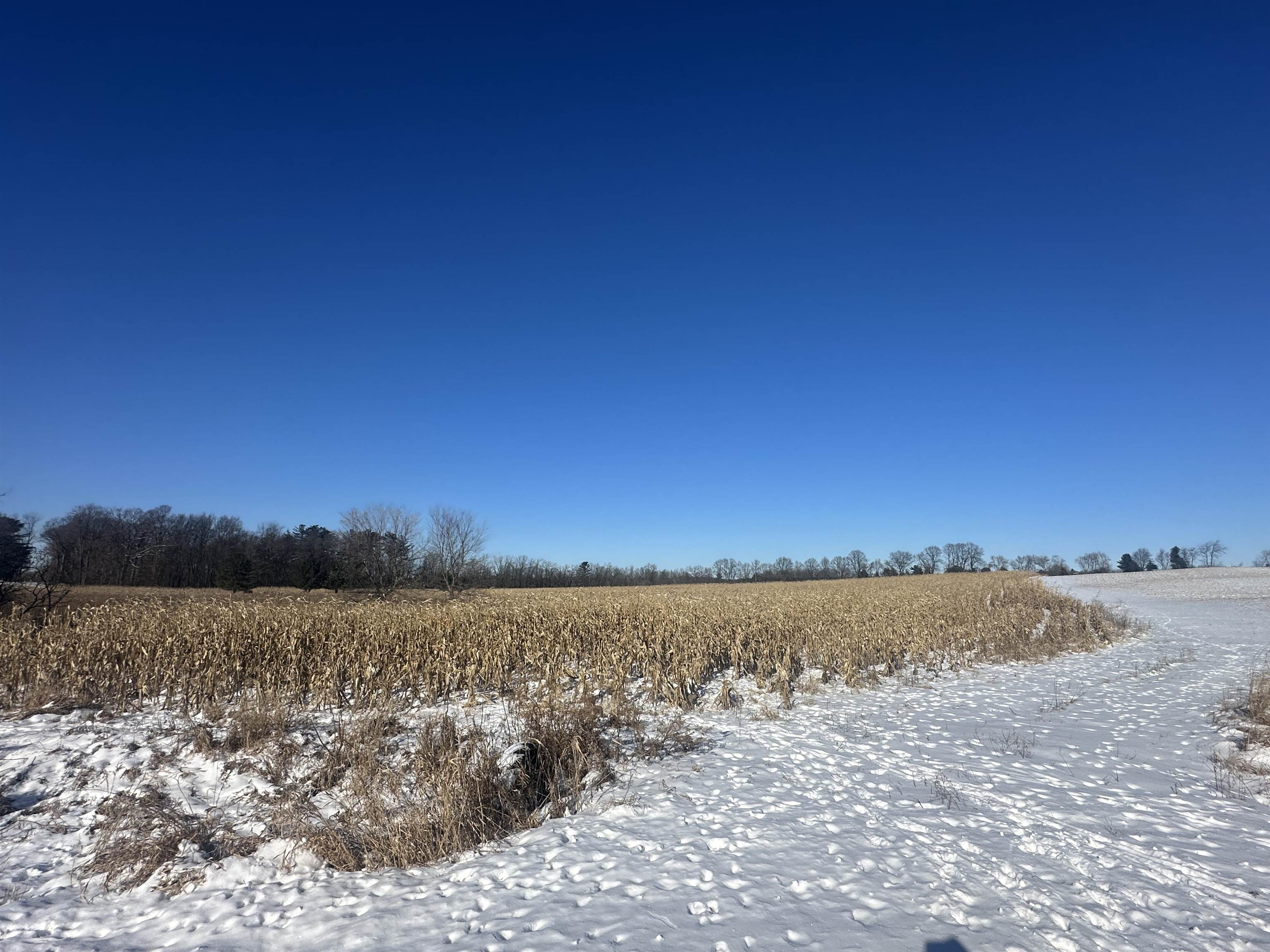 Bear Lake Road Weyauwega, WI 54983 - Photo 2 of 4