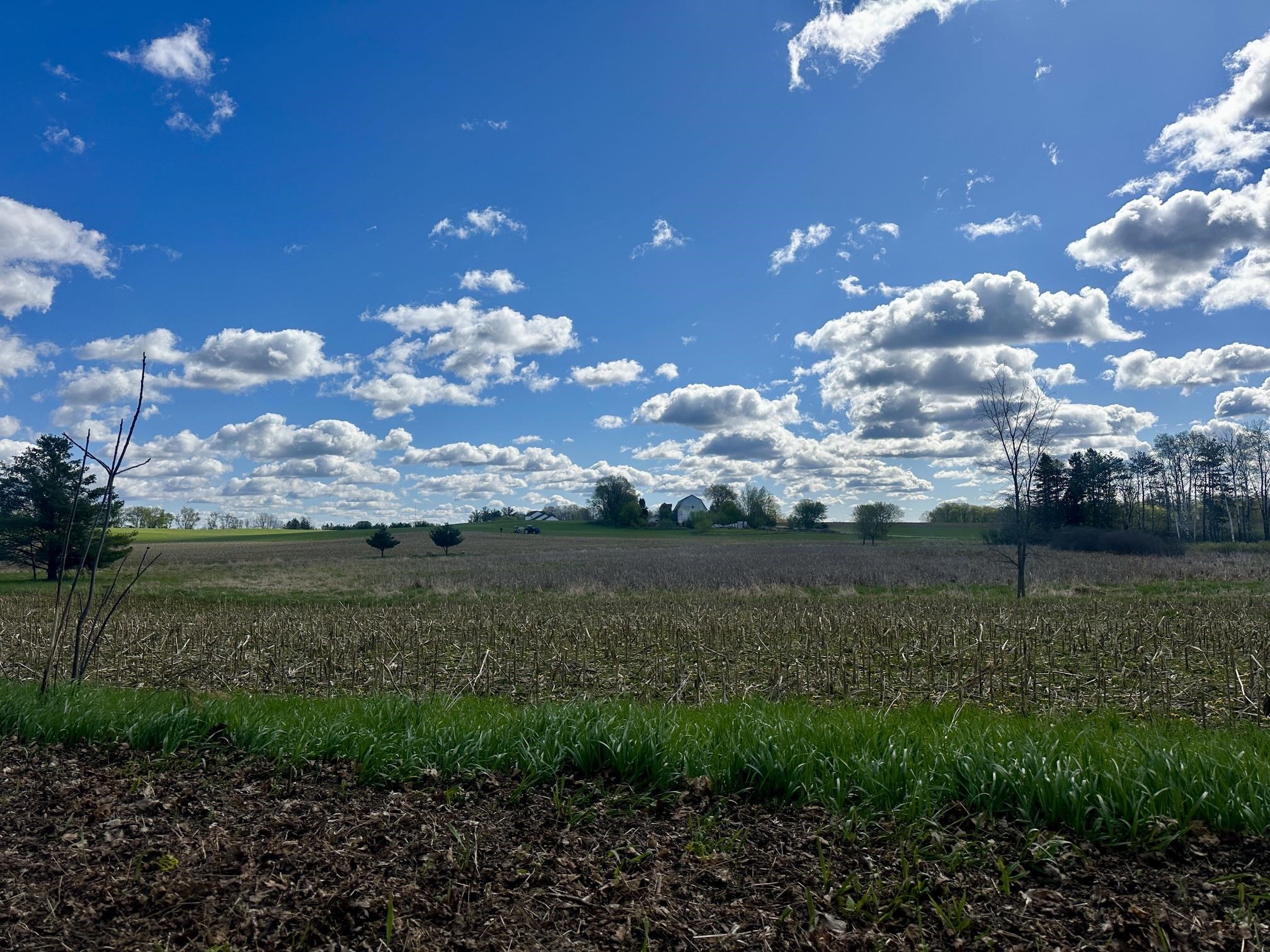 Bear Lake Road Weyauwega, WI 54983 - Photo 2 of 6