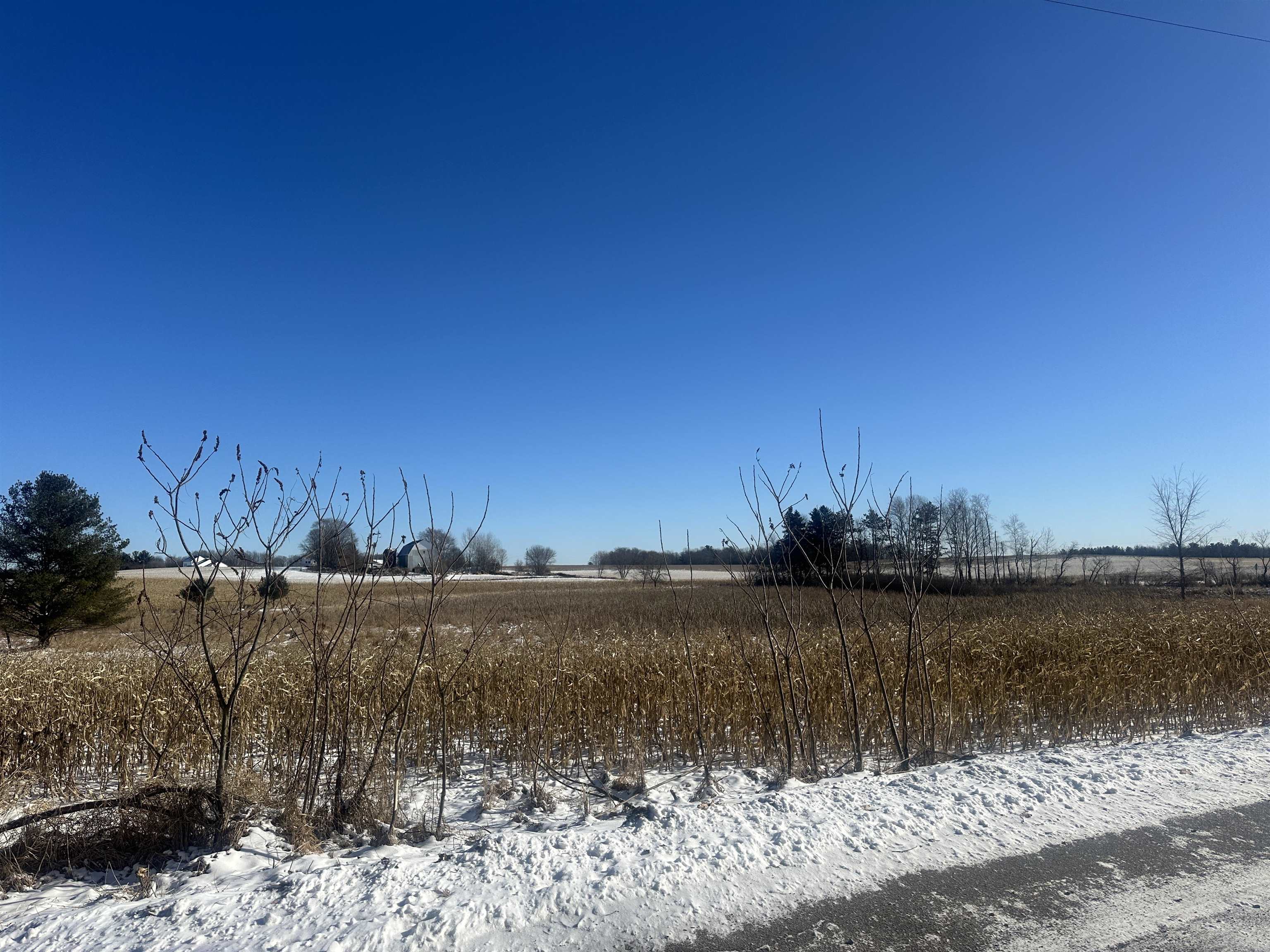 Bear Lake Road Weyauwega, WI 54983 - Photo 4 of 4