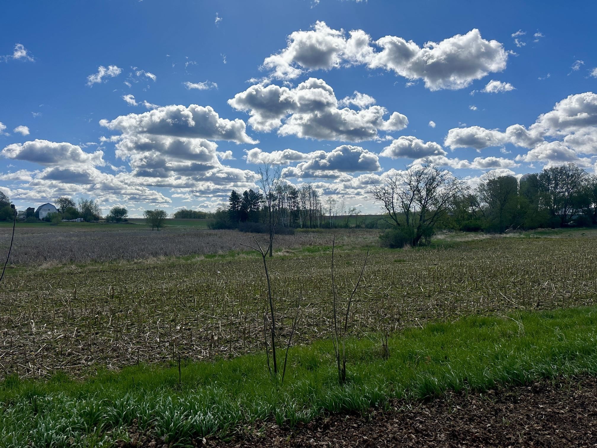 Bear Lake Road Weyauwega, WI 54983 - Photo 6 of 6