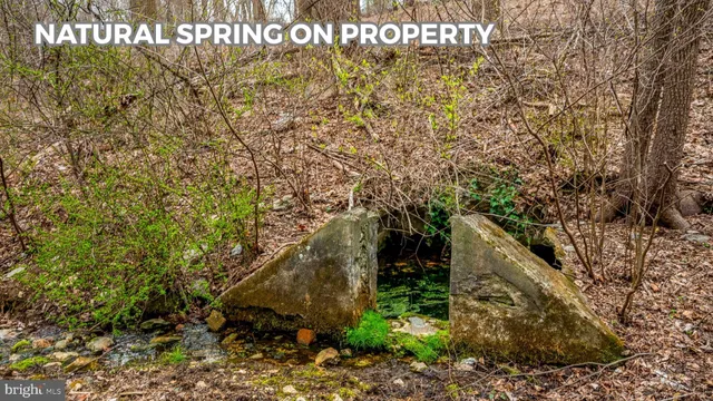 a view of a yard with trees