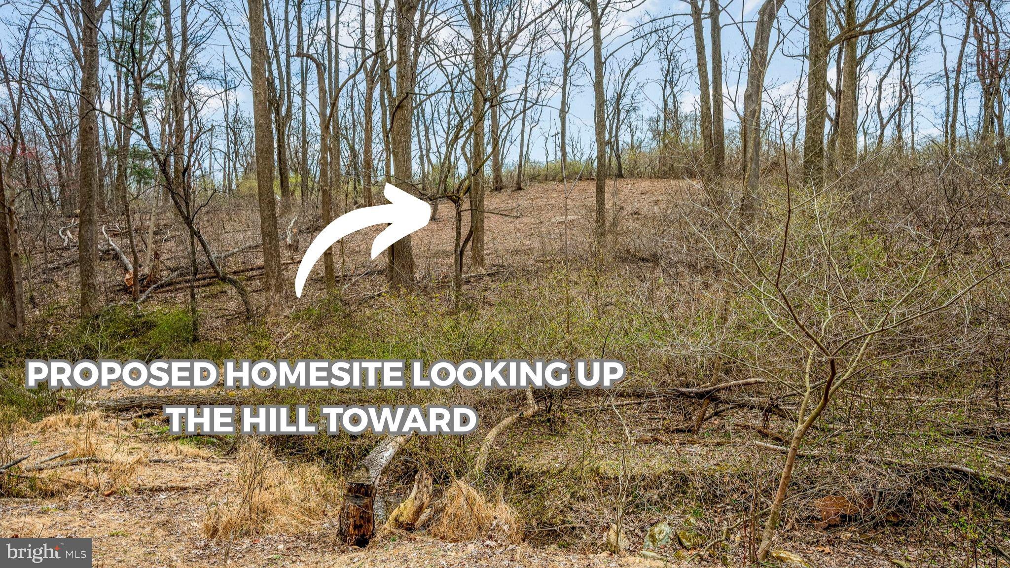 1418 Gallagherville Road Downingtown, PA 19335 - Photo 15 of 21 a park view