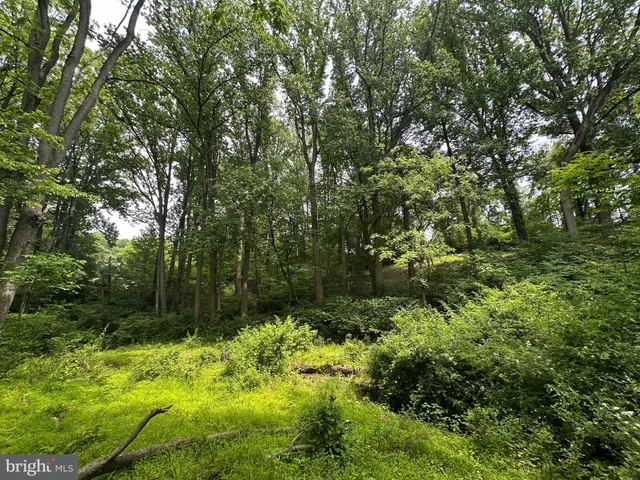 a view of yard with green space