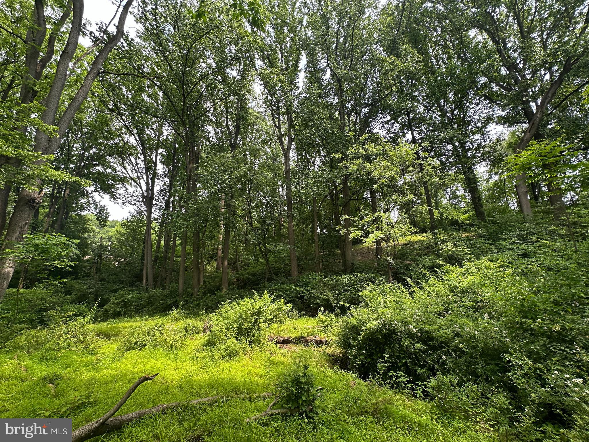 1418 Gallagherville Road Downingtown, PA 19335 - Photo 17 of 21 a view of outdoor space and trees all around