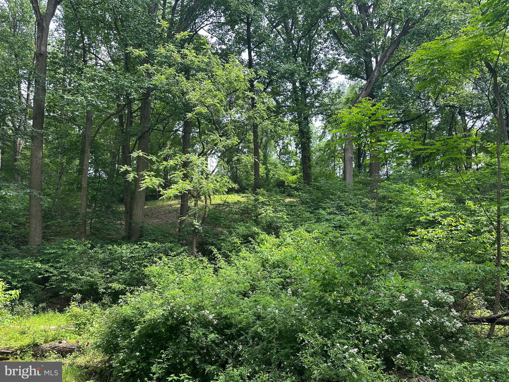 1418 Gallagherville Road Downingtown, PA 19335 - Photo 19 of 21 a view of outdoor space and green space