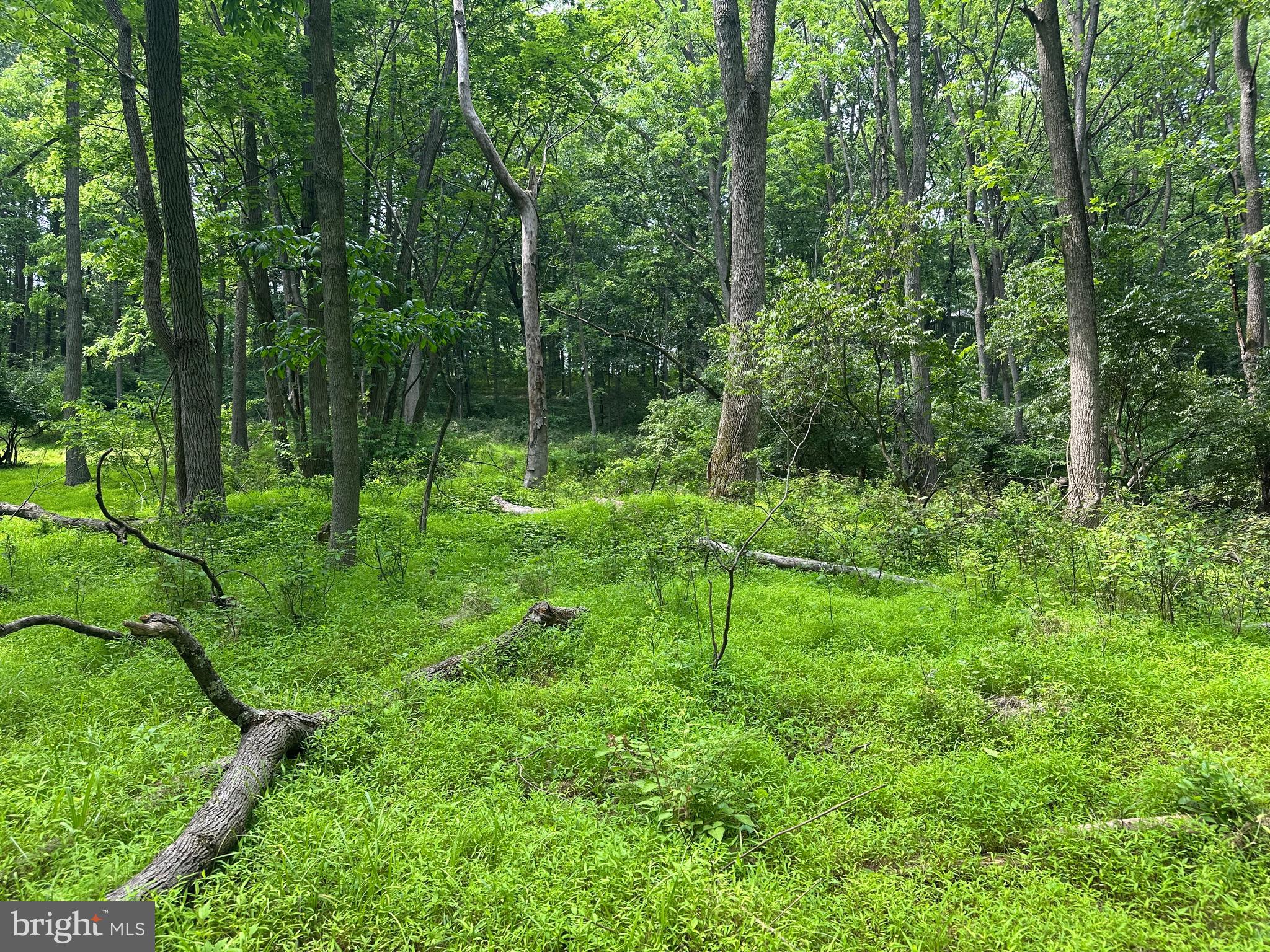 1418 Gallagherville Road Downingtown, PA 19335 - Photo 20 of 21 a view of yard with green space